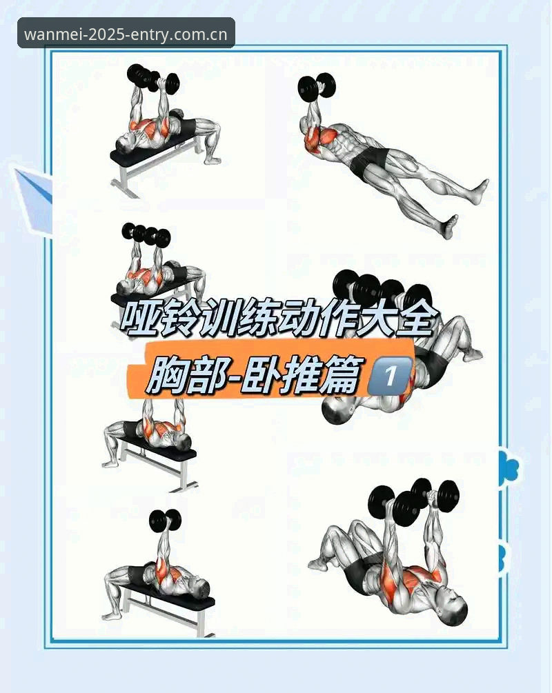 完美体育怎么样？新手该从哪里开始操作？