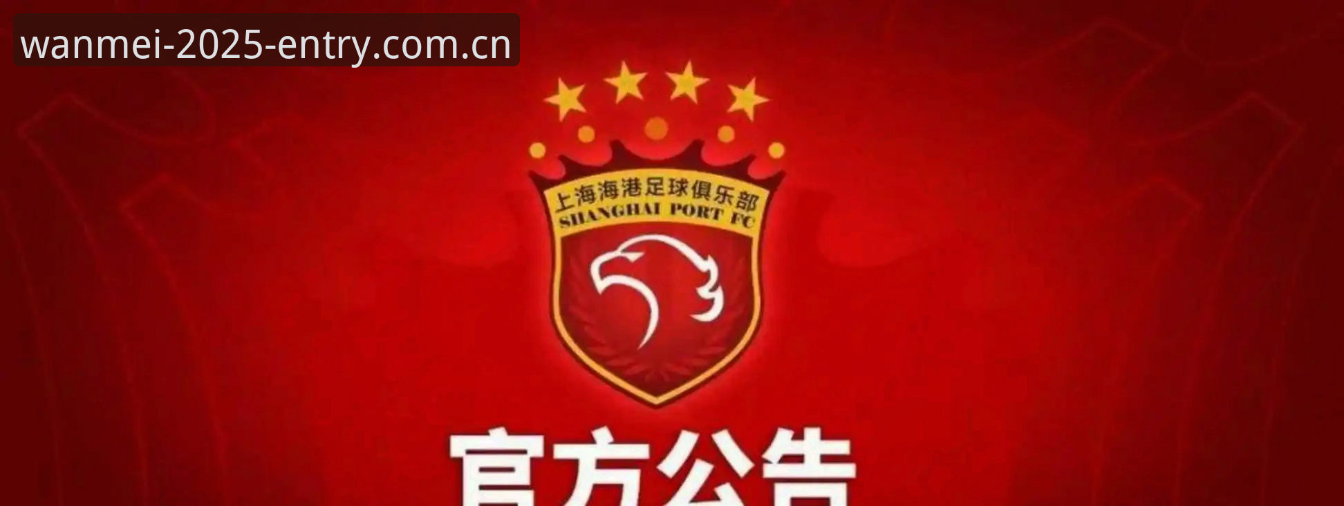 2025完美体育app下载 揭秘足协第三批禁足名单:65人背后的中国足球反腐风暴